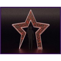 Световая арка  «Та самая звезда» 